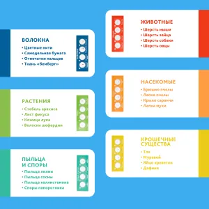 Микроскоп Levenhuk Discovery Micro с книгой, изображение 19