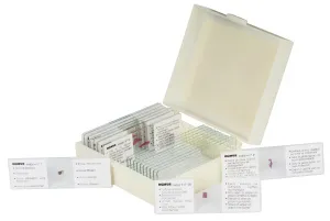 Набор микропрепаратов Konus 10: «Ящерицы, змеи и птицы», изображение 2