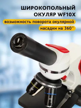 Микроскоп Levenhuk Discovery Pico с книгой, изображение 17