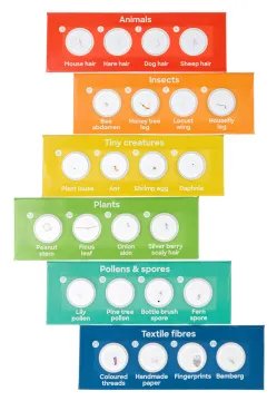 Набор микропрепаратов Levenhuk Discovery «Флора и фауна», 24 шт., изображение 3