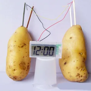 Набор для опытов ND Play «Картофельные часы» 6+, изображение 3