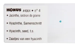Набор микропрепаратов Konus 10: «Биология» (часть 2), изображение 7