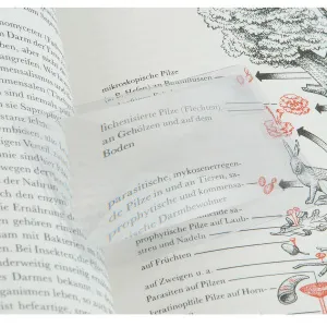 Линза Френеля Veber 3х, 80х43 мм (2101A), изображение 2