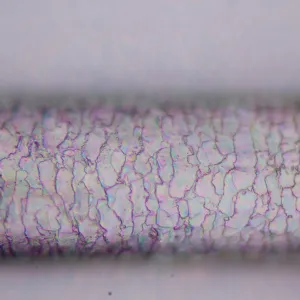 Микроскоп поляризационный цифровой MAGUS Pol D800 LCD, изображение 25