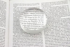 Лупа-линза Veber 4x, 75 мм (6913), изображение 2