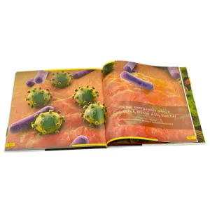 Набор Levenhuk LabZZ MV1: микроскоп и книга, изображение 17