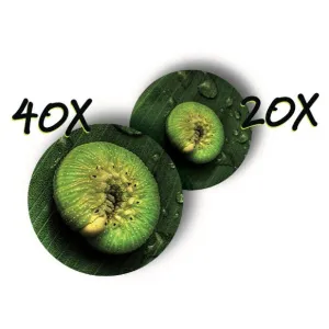 Микроскоп детский портативный Navir «Зумскоп» 20–40x, с подсветкой, изображение 3