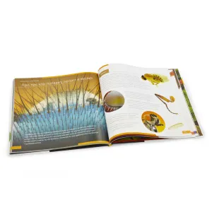 Набор Levenhuk LabZZ MV1: микроскоп и книга, изображение 16